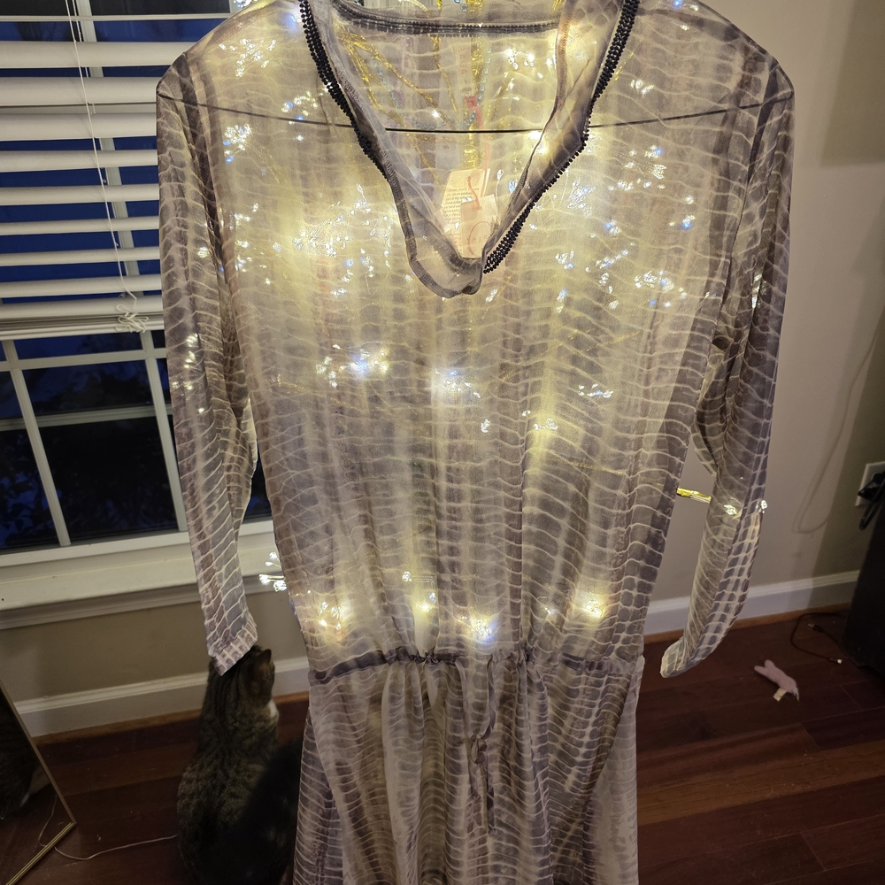 RAGA Sheer Patterned Dress